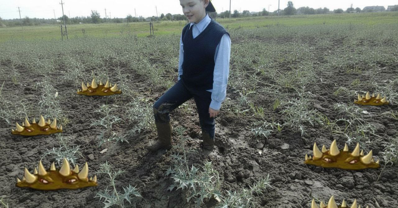 Милый котик